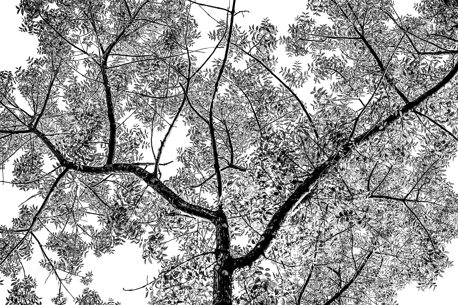 Fujifilm X-T1 sample photo. Untitled photography