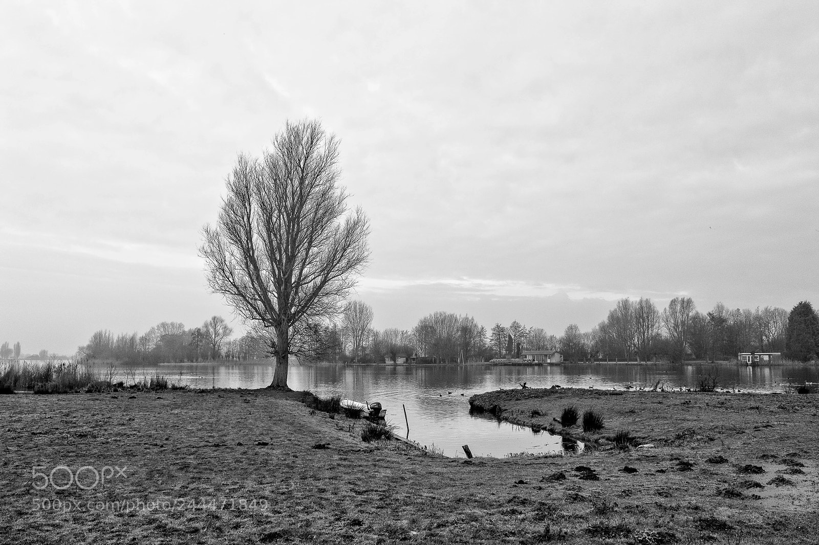 Fujifilm X70 sample photo. View on binnenmaas photography