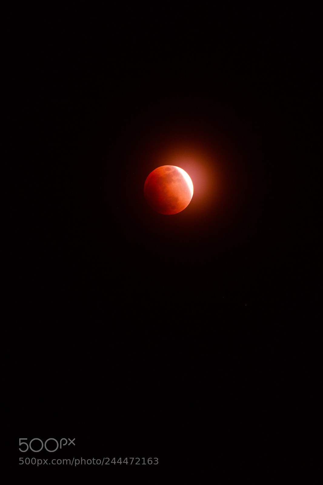 Canon EOS 5DS R sample photo. Super blue blood moon photography