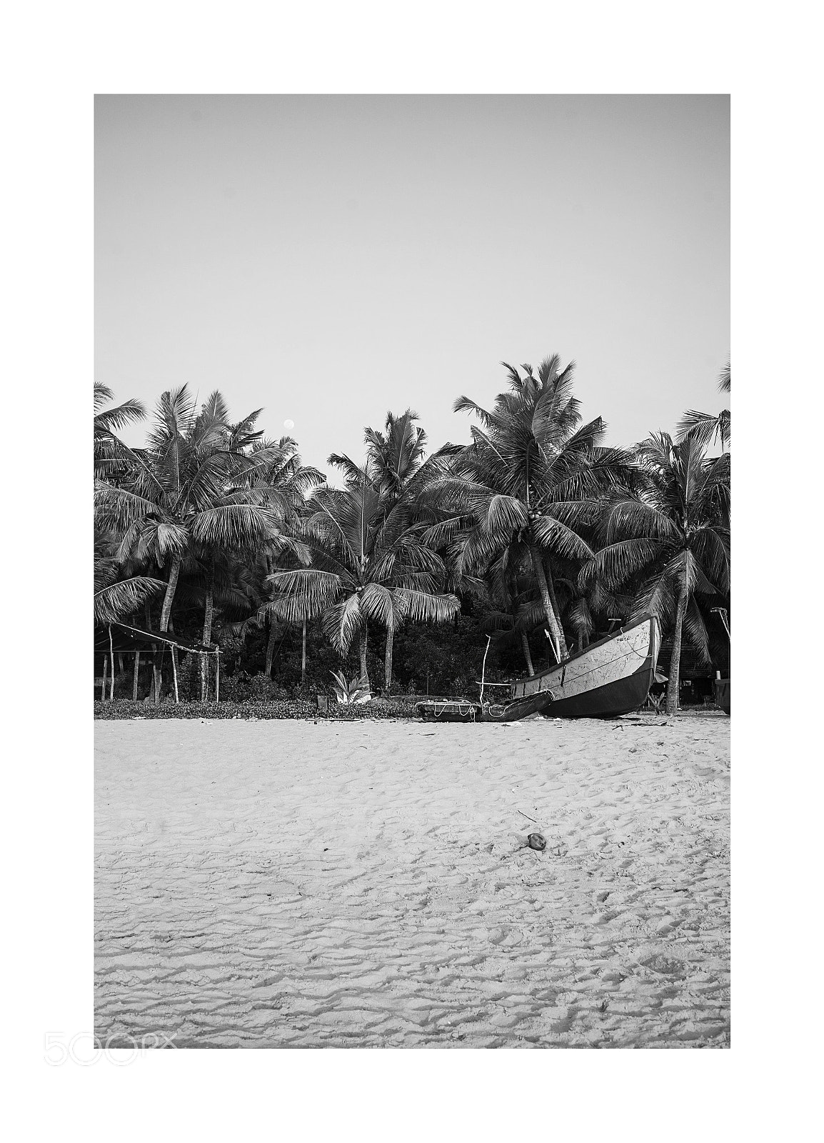 Sony a7 II sample photo. Kochi photography