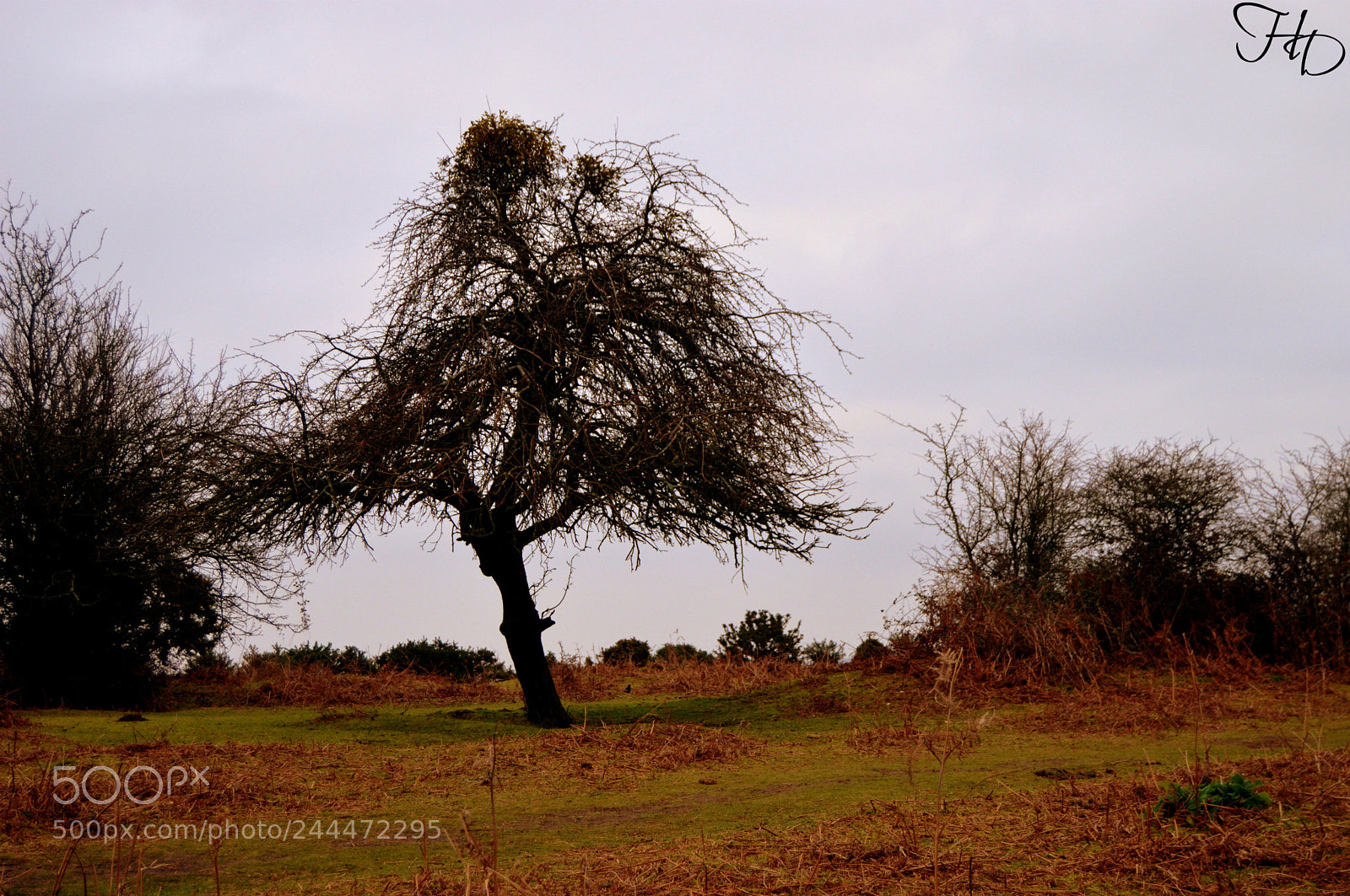 Nikon D3200 sample photo. Stand alone photography