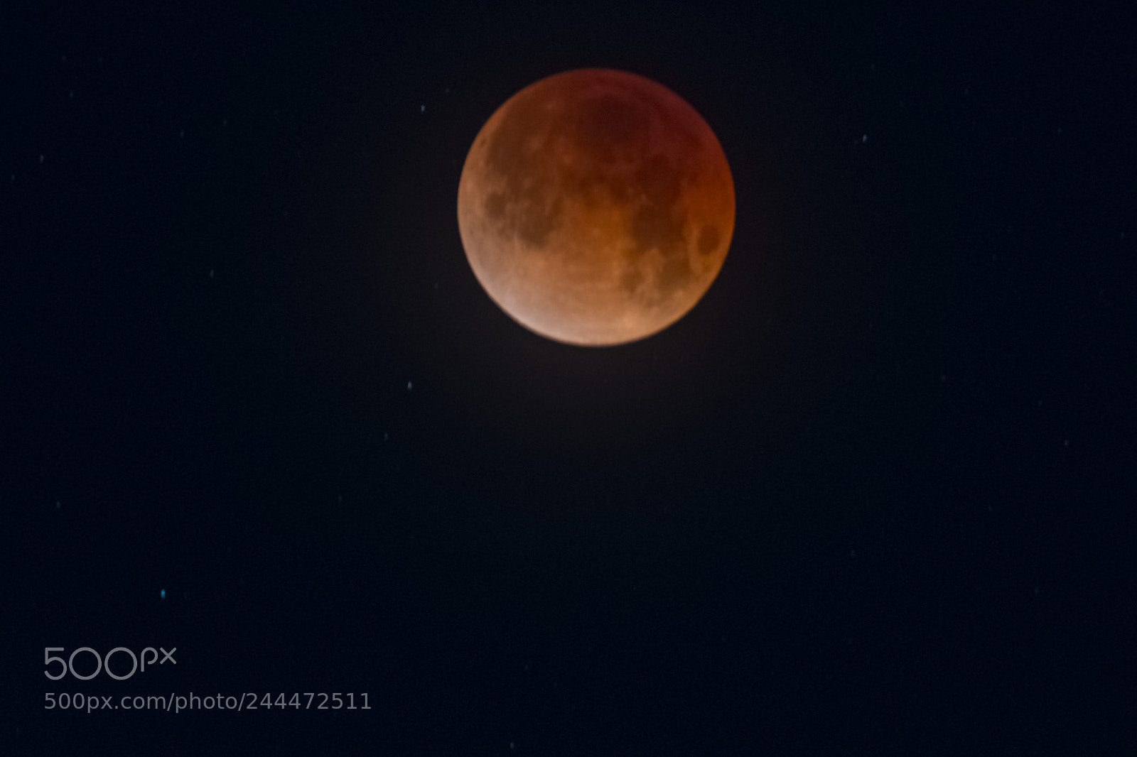 Nikon D500 sample photo. Super blue blood moon photography
