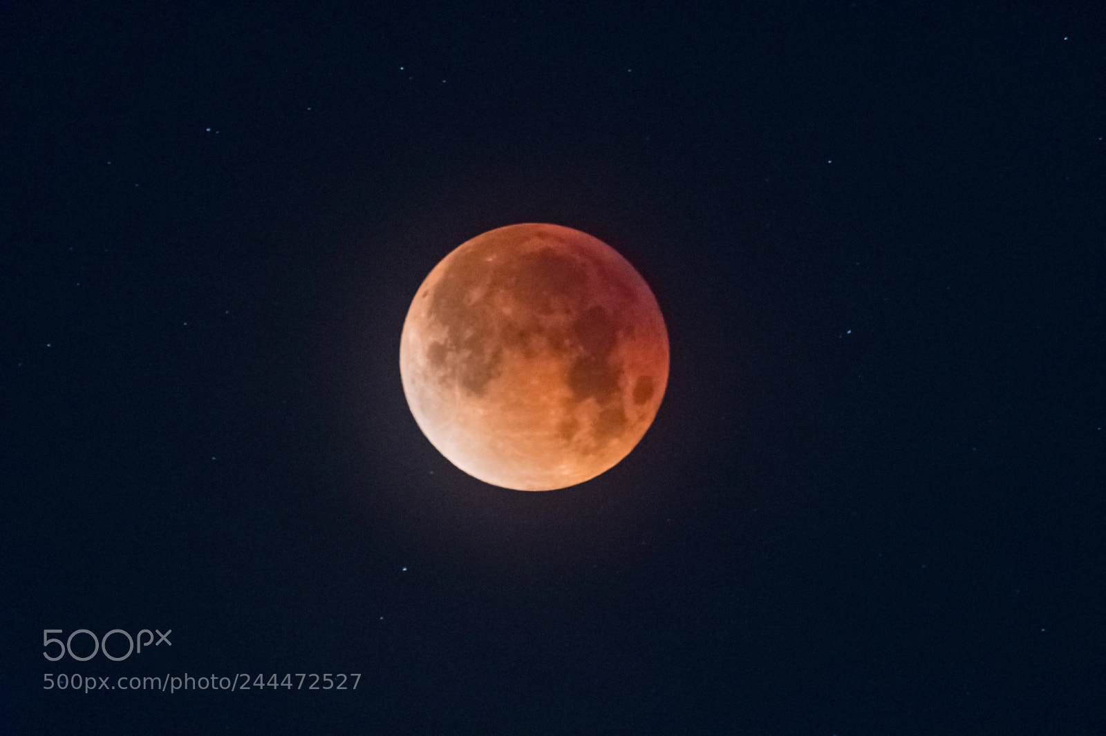 Nikon D500 sample photo. Super blue blood moon photography