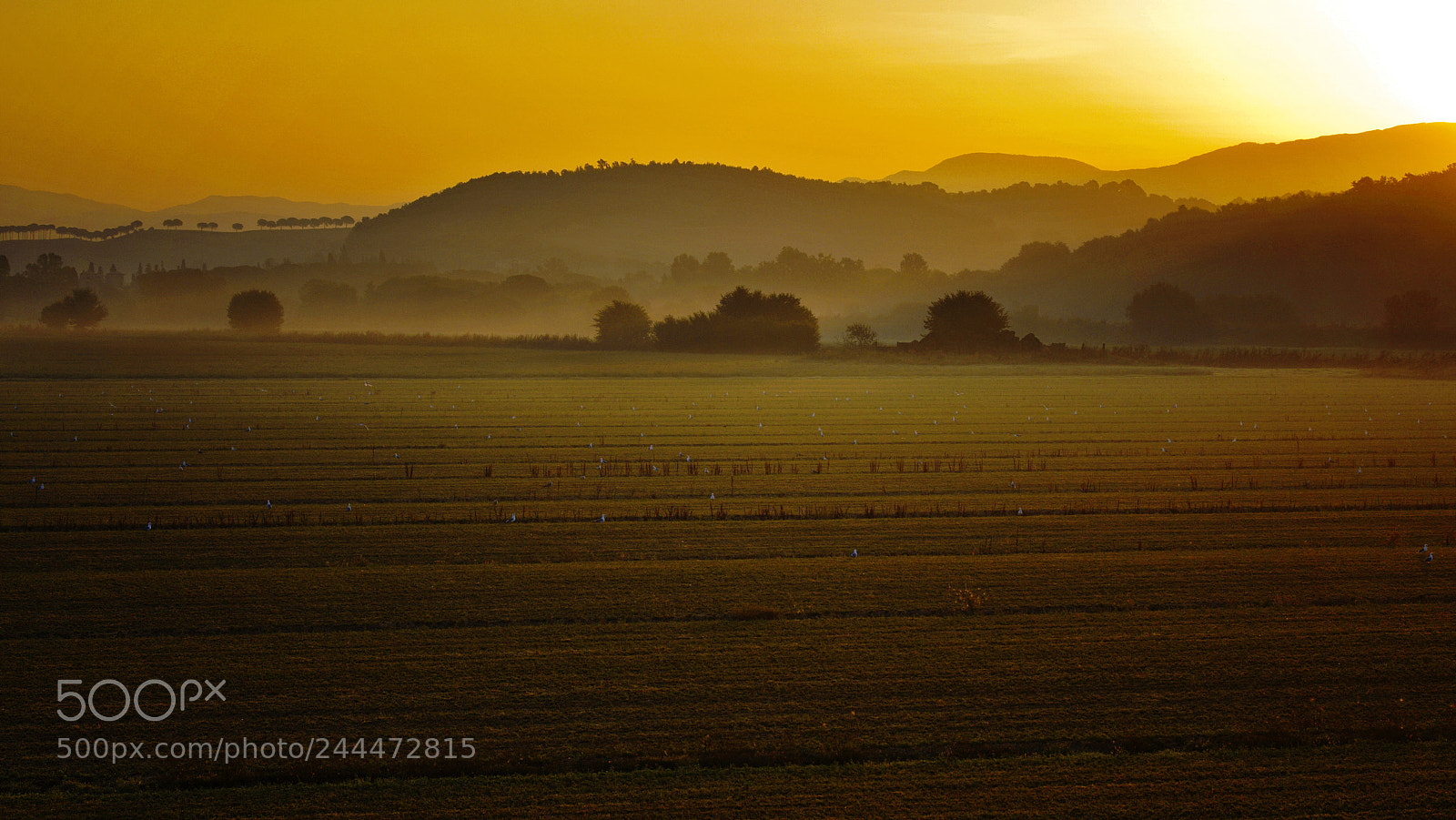 Canon EOS 40D sample photo. Latium countryside (13404) photography