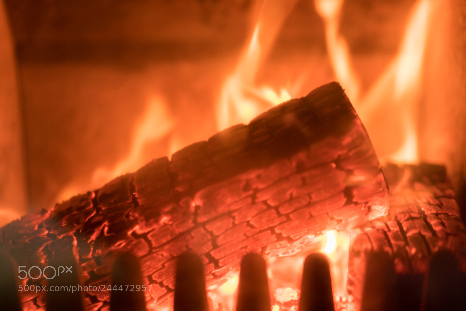 Sony a7R II sample photo. Burning oak branches in photography