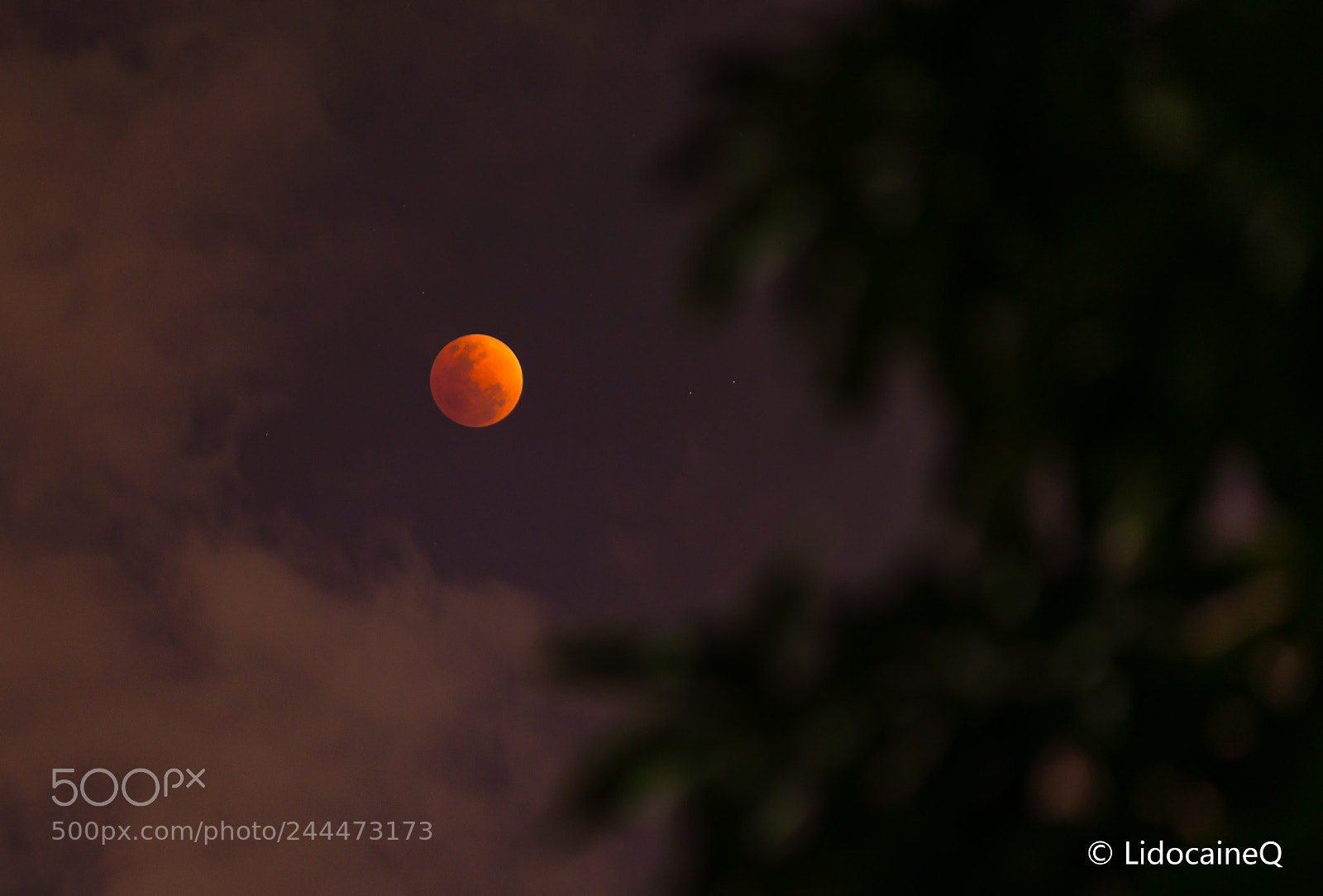 Nikon D610 sample photo. Untitled photography
