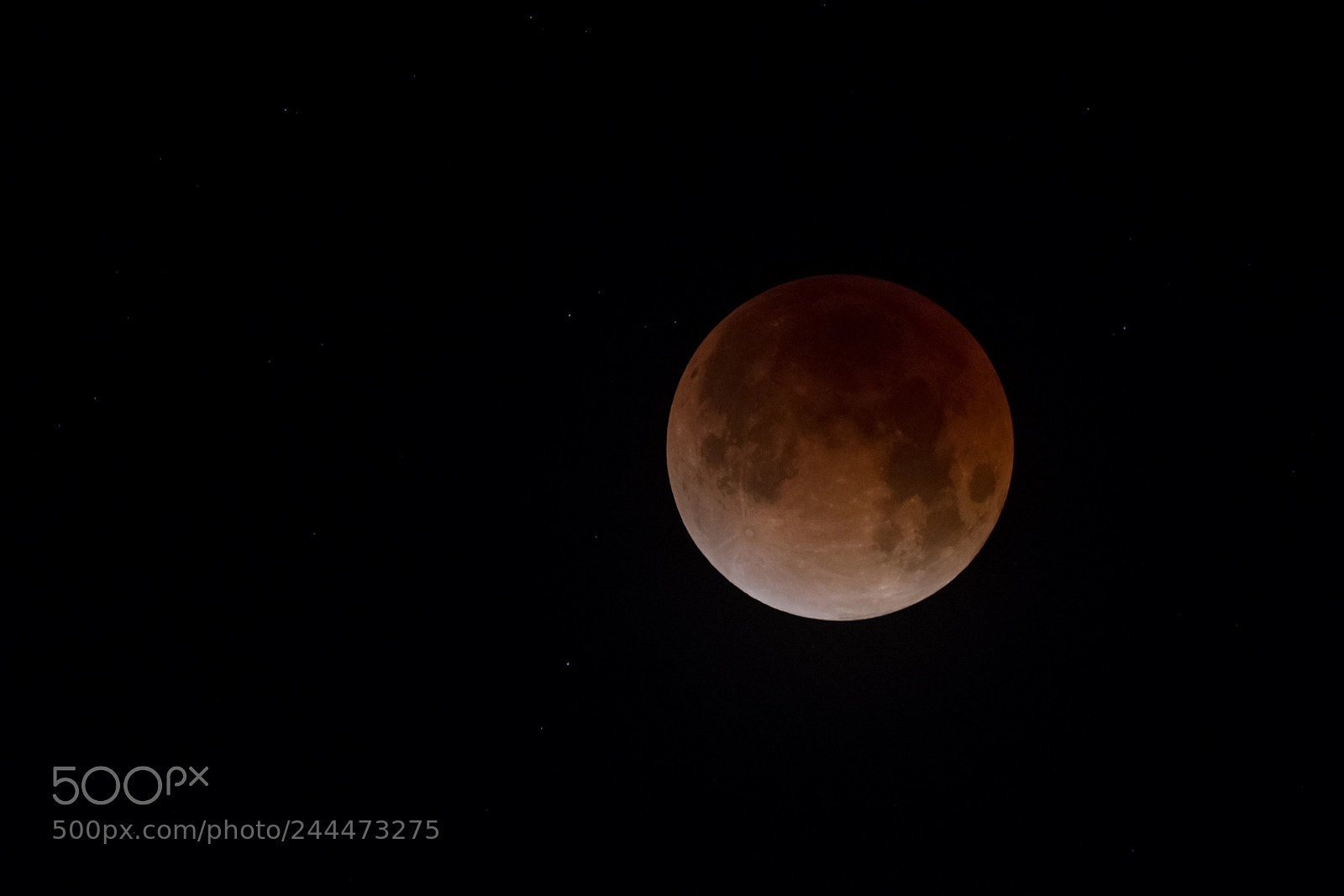 Nikon D500 sample photo. Super blood moon photography