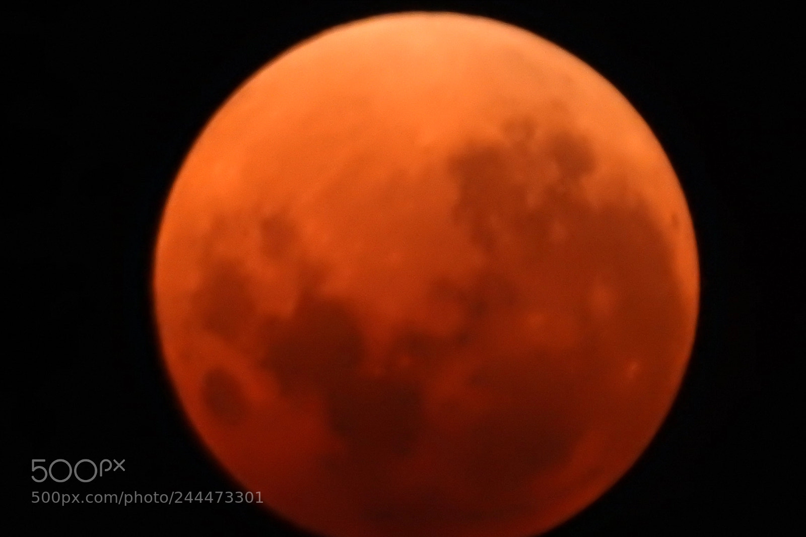 Nikon Coolpix P900 sample photo. Blood moon melbourne photography