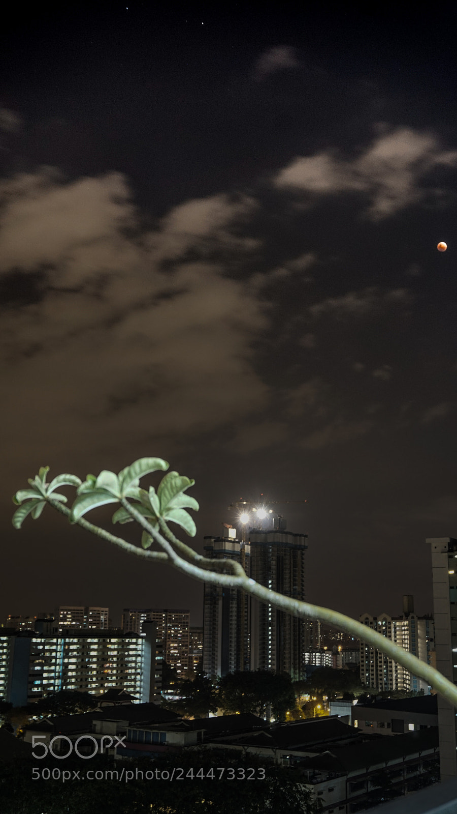 Sony a5100 sample photo. Mini super blood moon photography