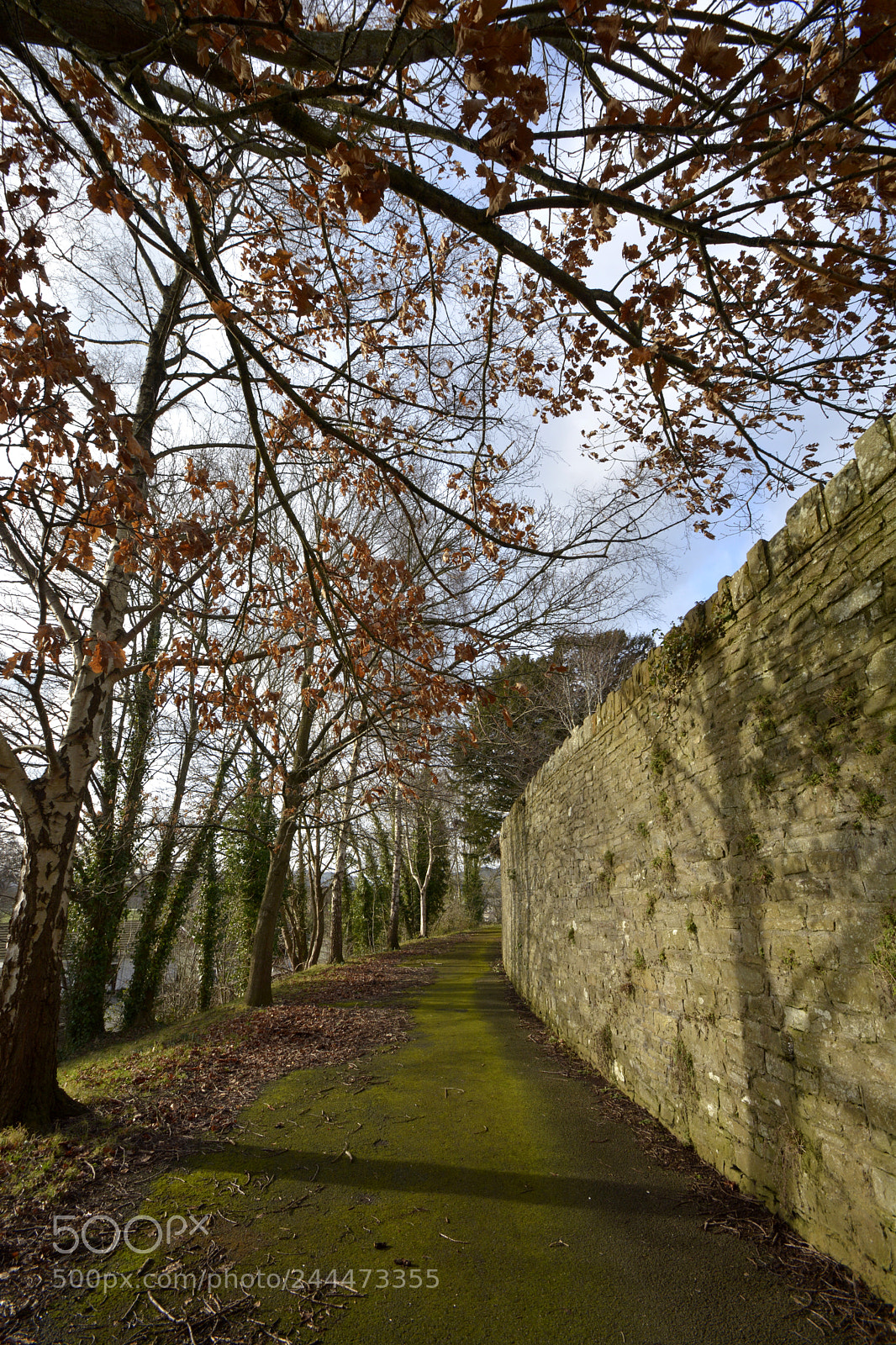 Nikon D7100 sample photo. Captains walk brecon photography