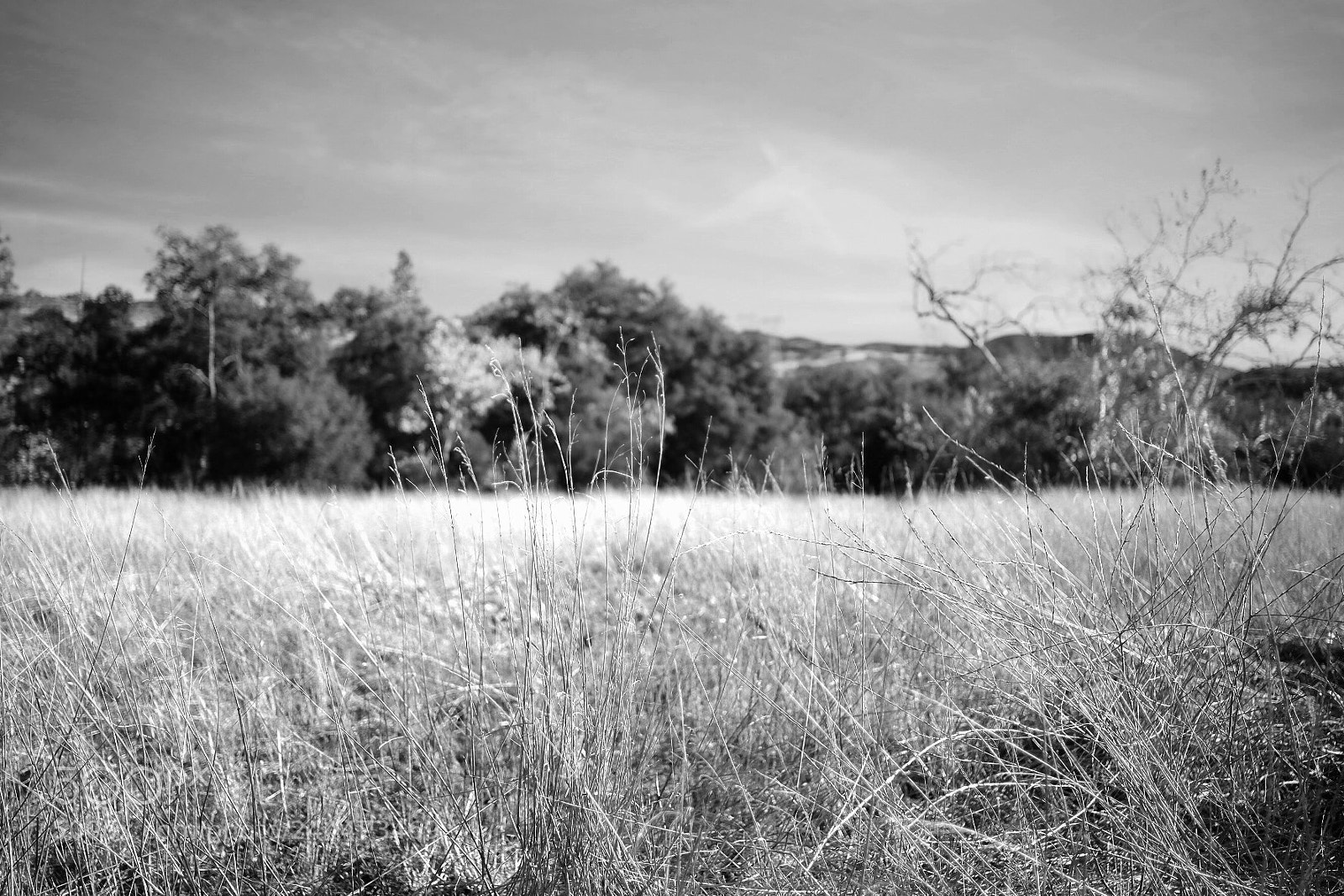 Fujifilm X-E3 sample photo. Black star canyon photography