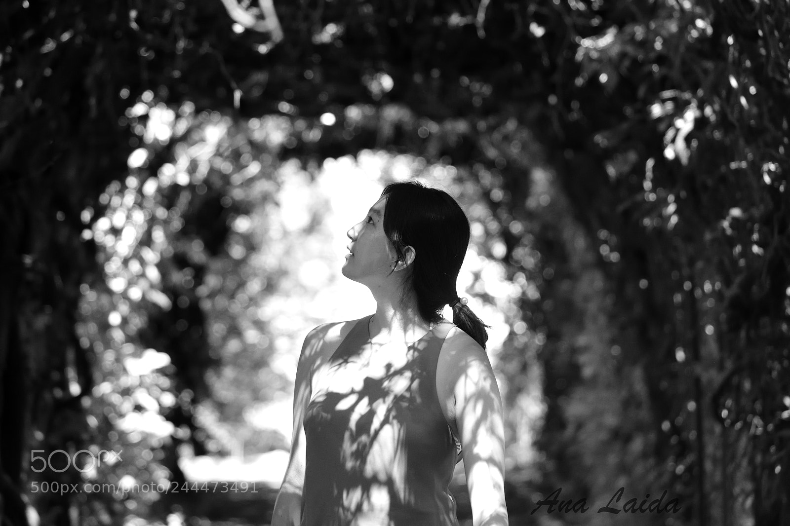 Nikon D7200 sample photo. Eunhae photography