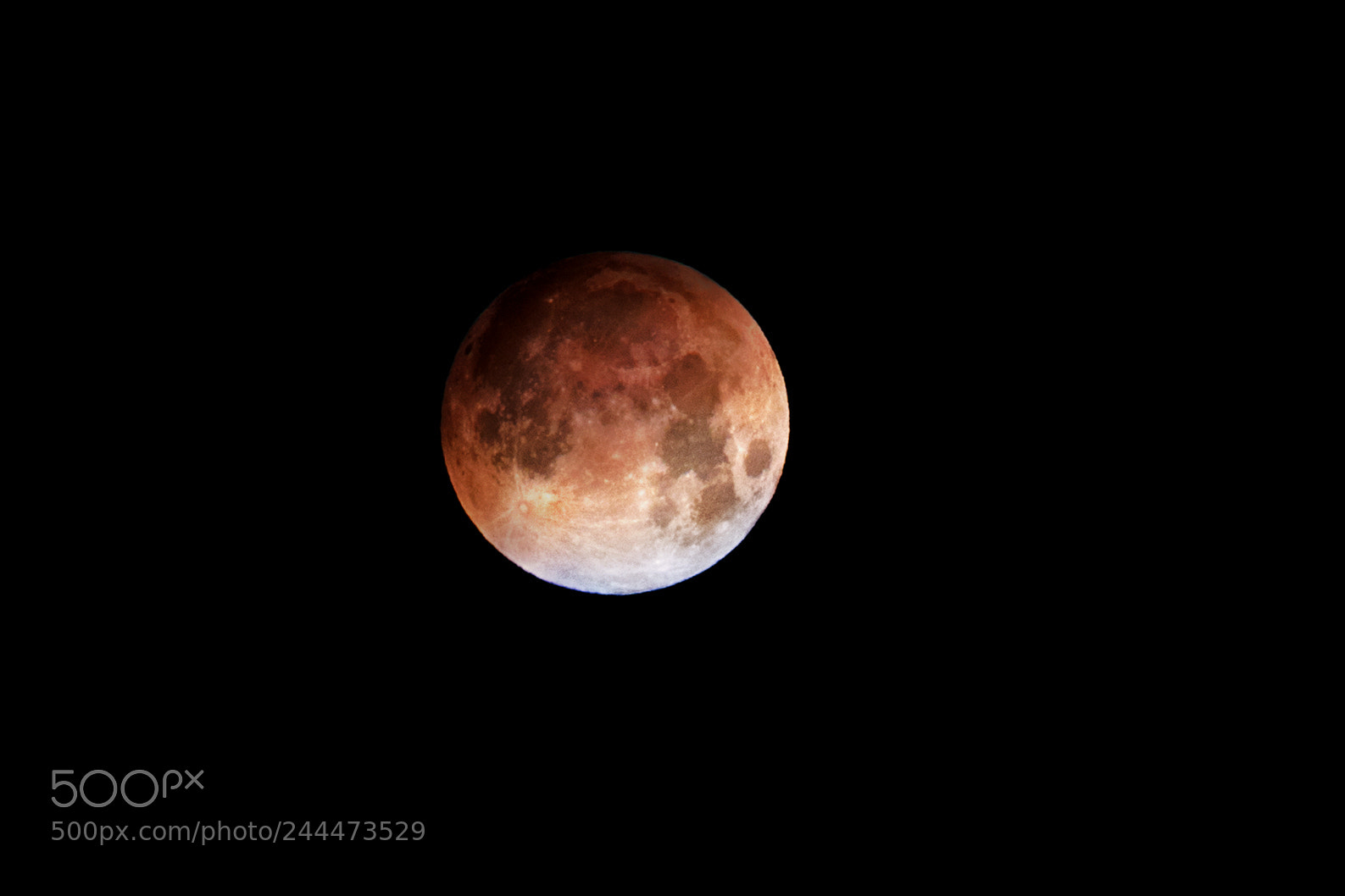 Canon EOS 7D Mark II sample photo. Super blue blood moon photography