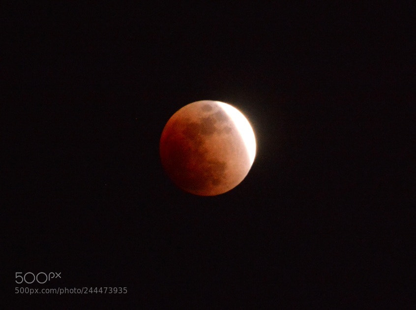 Nikon D7100 sample photo. Super blue blood moon photography