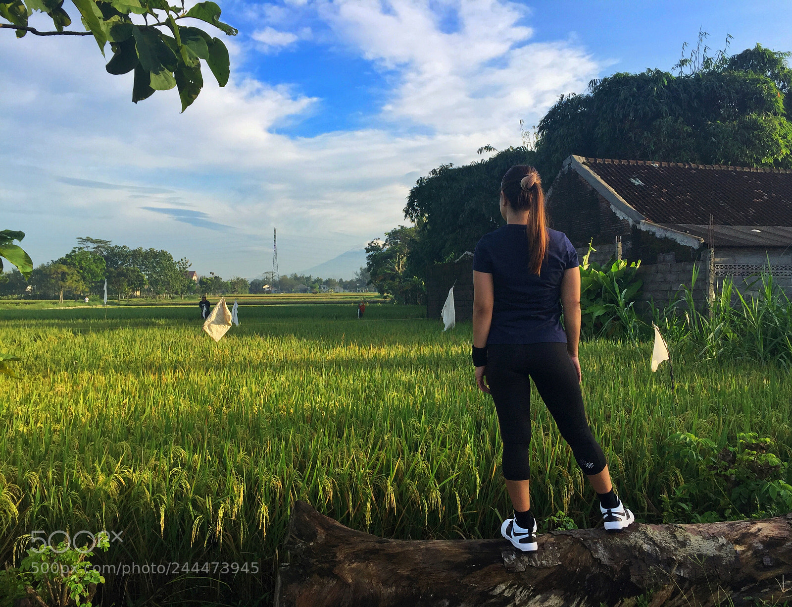 Apple iPhone 6 sample photo. Morning run in the photography