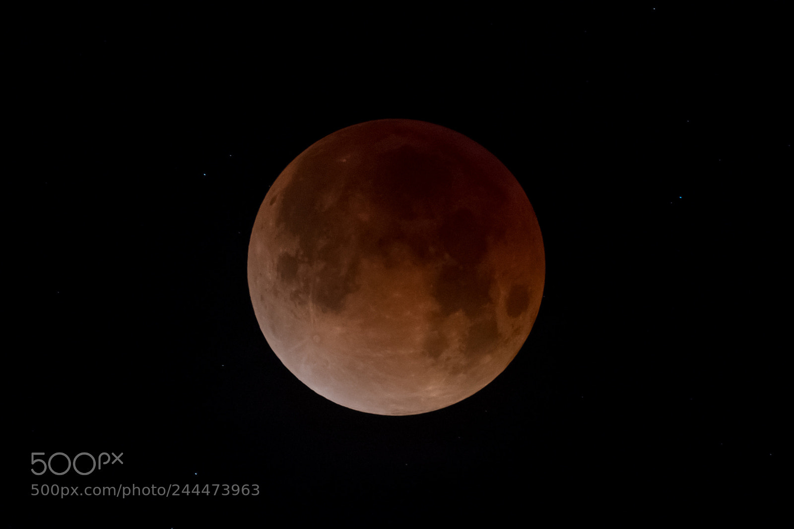 Nikon D500 sample photo. Super blood moon tighter photography