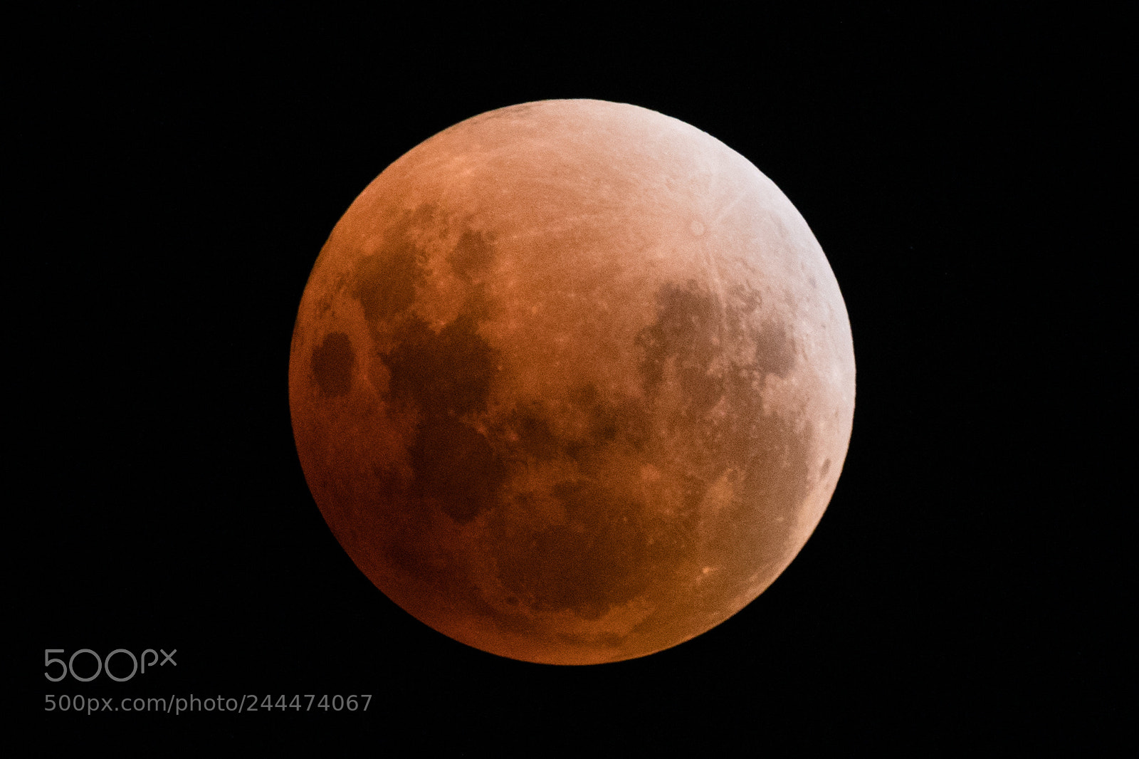 Sony a6300 sample photo. Blood moon lunar eclipse photography