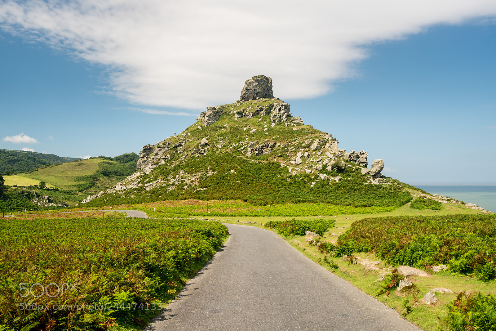Sony a7R II sample photo. Unique structure of the photography