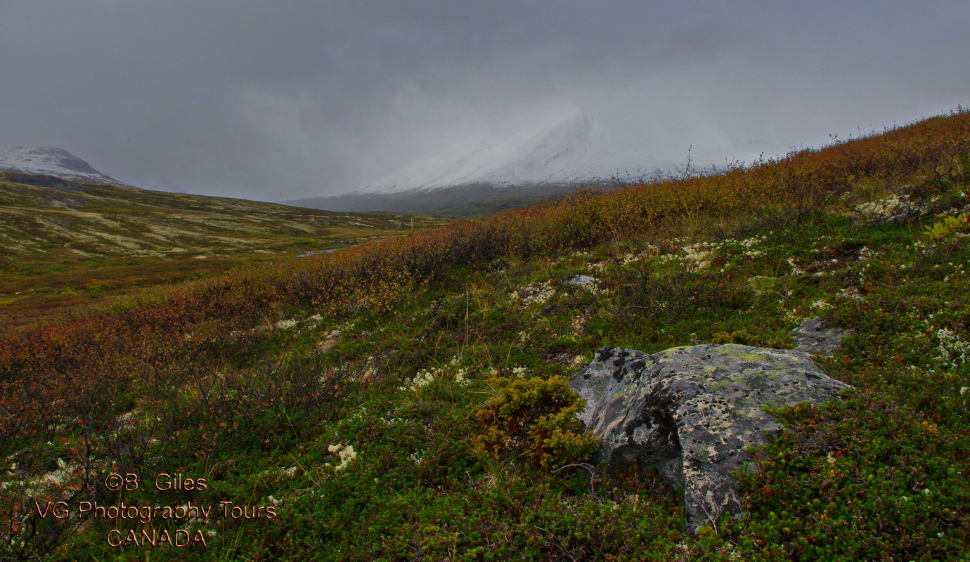 Pentax K-5 IIs + Pentax smc DA 18-55mm F3.5-5.6 AL WR sample photo. Approaching storm yukon photography