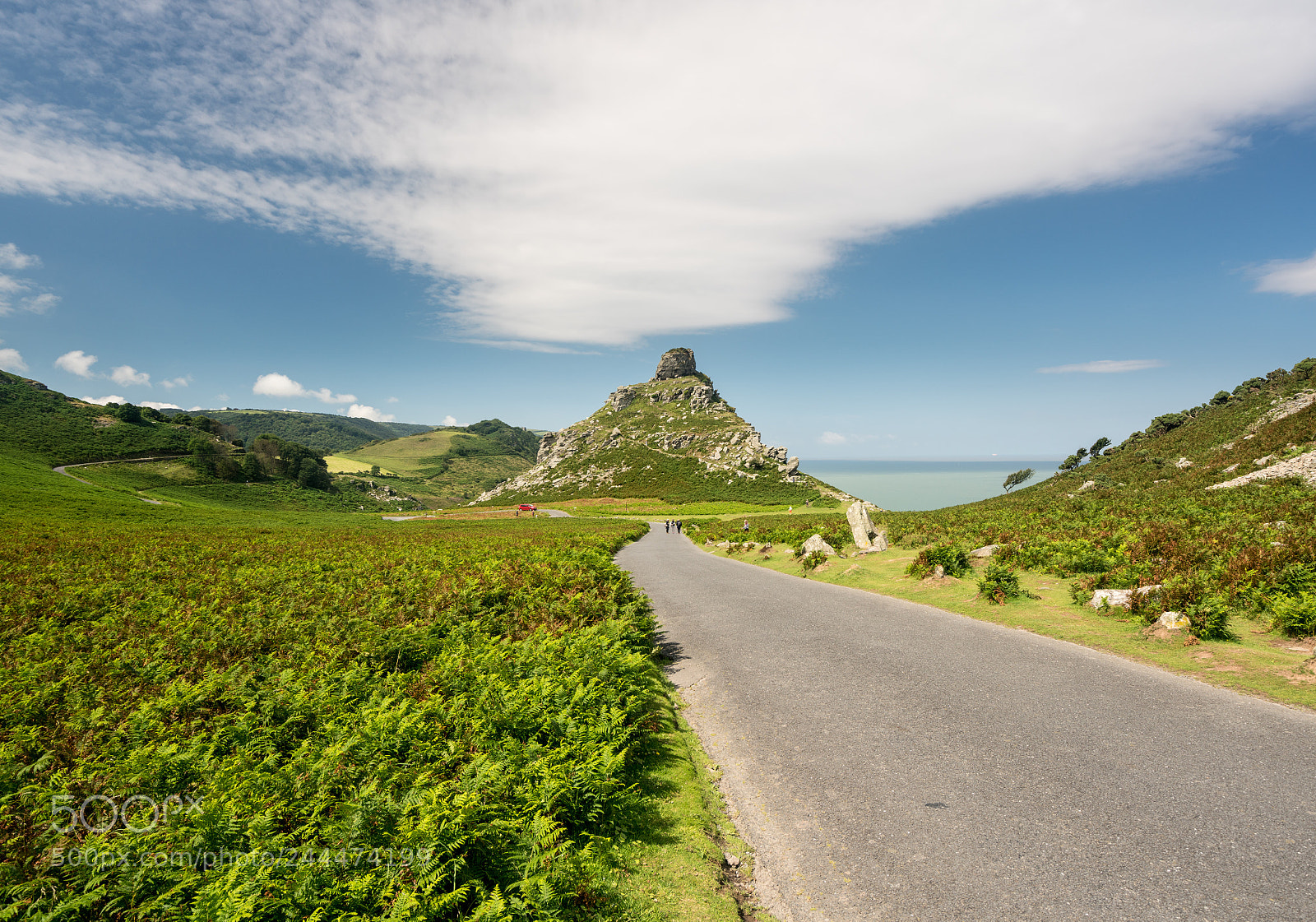 Sony a7R II sample photo. Unique structure of the photography