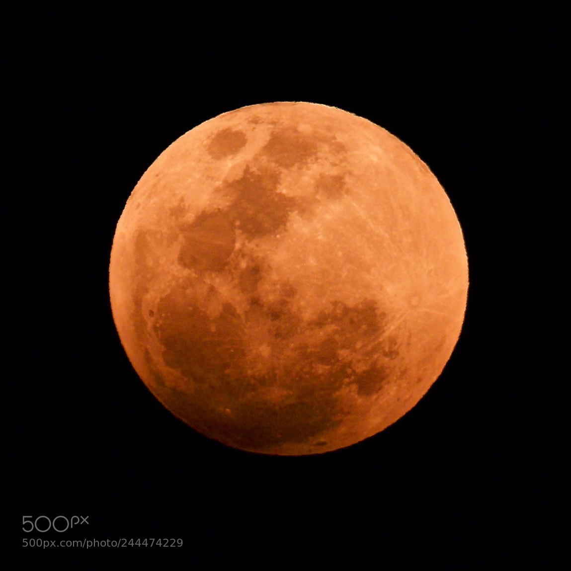 Canon EOS-1D X Mark II sample photo. Super blue blood moon photography