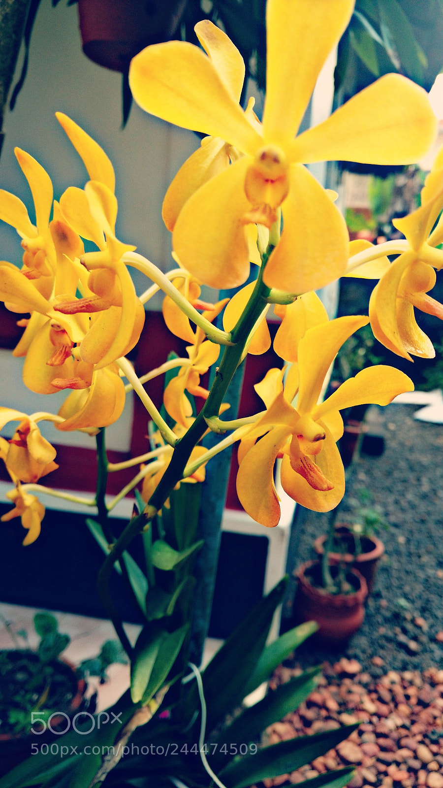Motorola Moto X Play sample photo. Untitled photography
