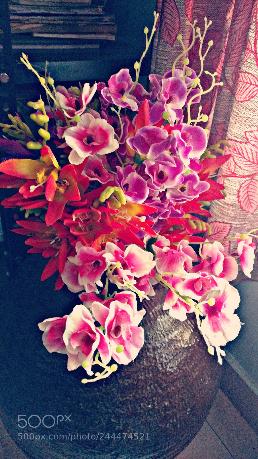 Motorola Moto X Play sample photo. Untitled photography