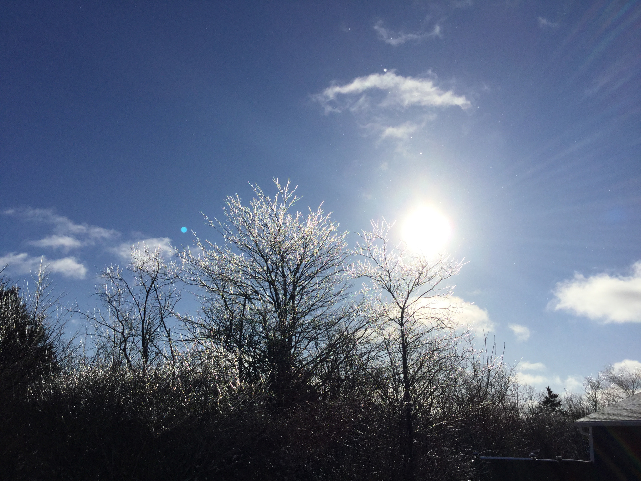 Apple iPad mini 4 sample photo. Absolutely gorgeous this morning, the sun shining on the trees dressed in ice... photography
