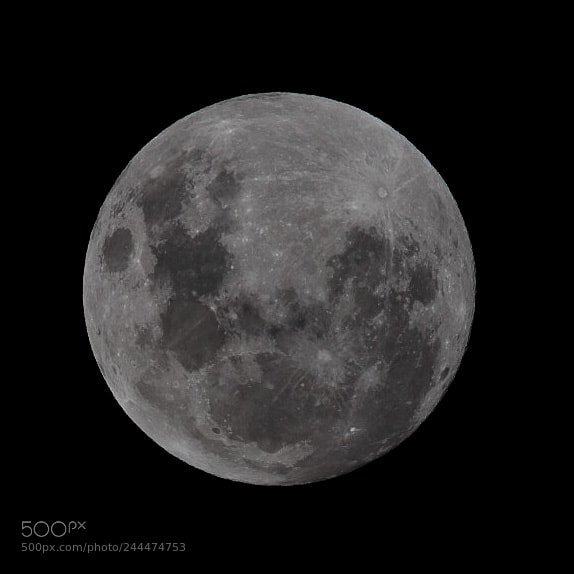 Nikon D7200 sample photo. Moon photography