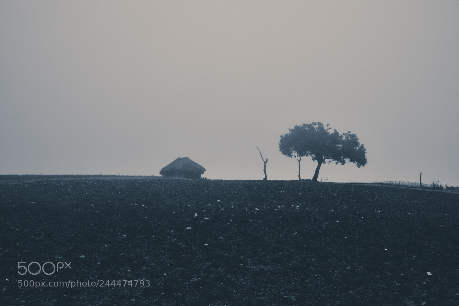 Nikon D810 sample photo. Neblina photography