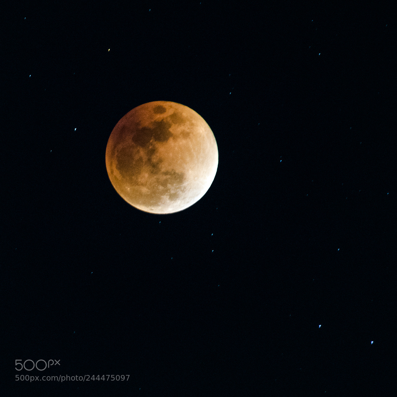 Nikon D810 sample photo. Super blood blue moon photography
