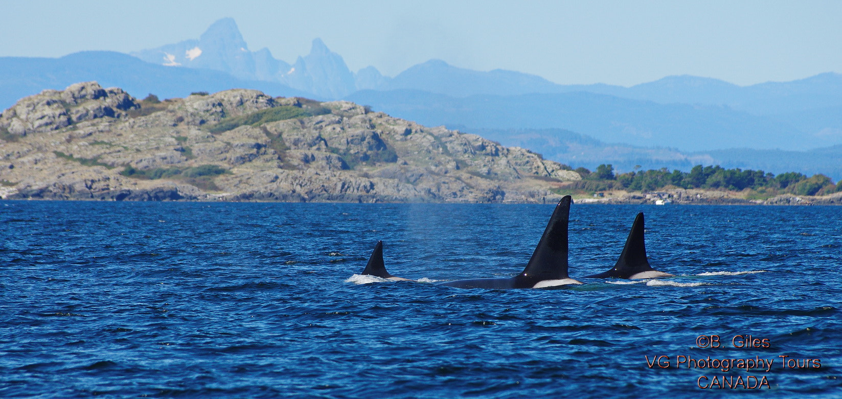 Pentax K-5 IIs + Pentax smc DA* 60-250mm F4.0 ED (IF) SDM sample photo. Wild west coast photography