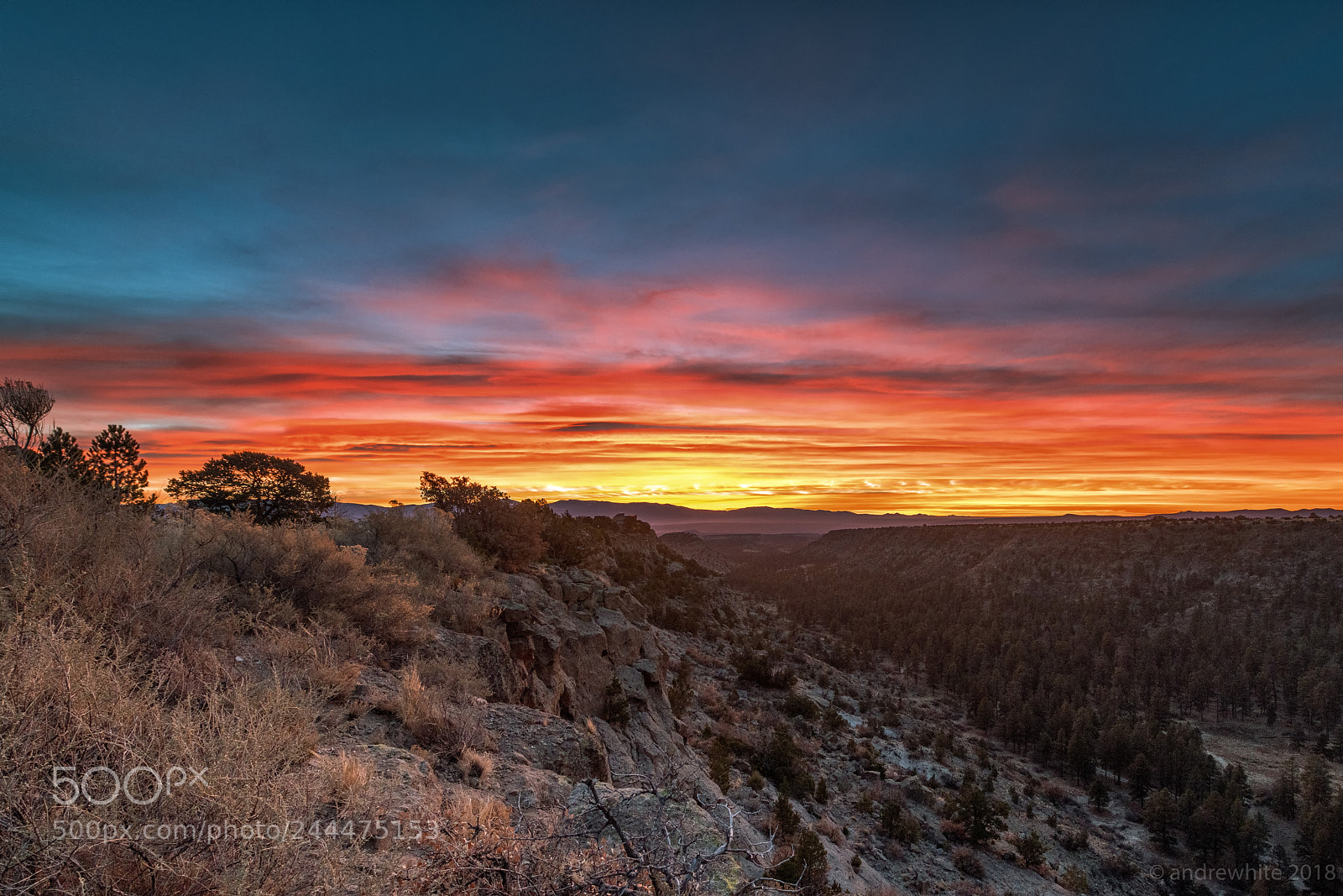 Nikon D850 sample photo. Canyon sunrise photography