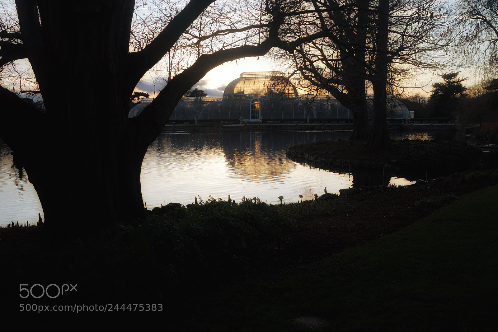 Sony a7R II sample photo. Kew garden photography