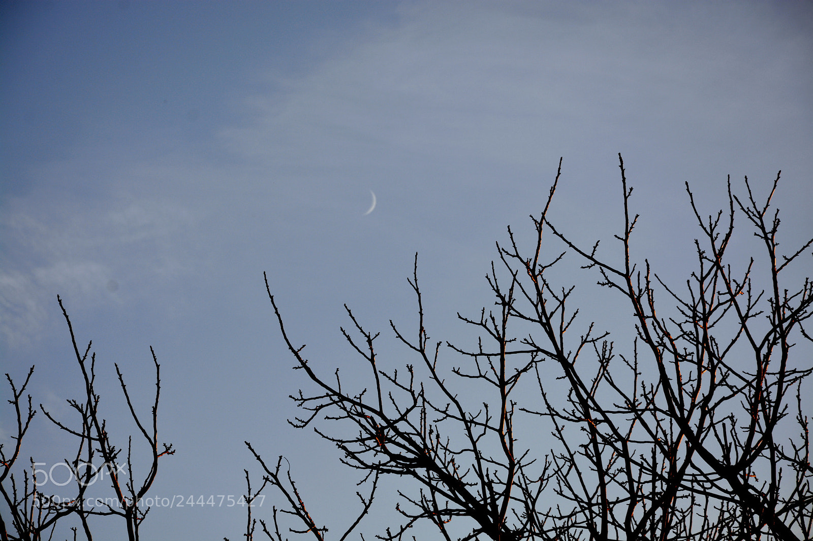 Nikon D7100 sample photo. Crescent moon photography