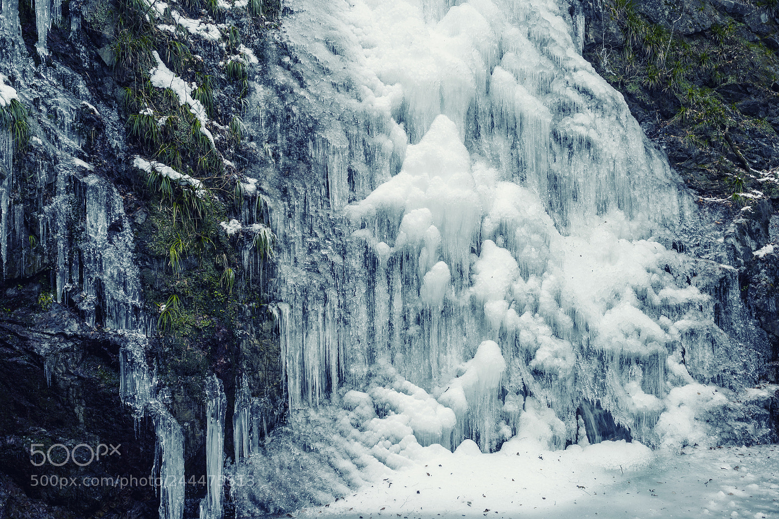 Nikon Df sample photo. Freezing #2 photography