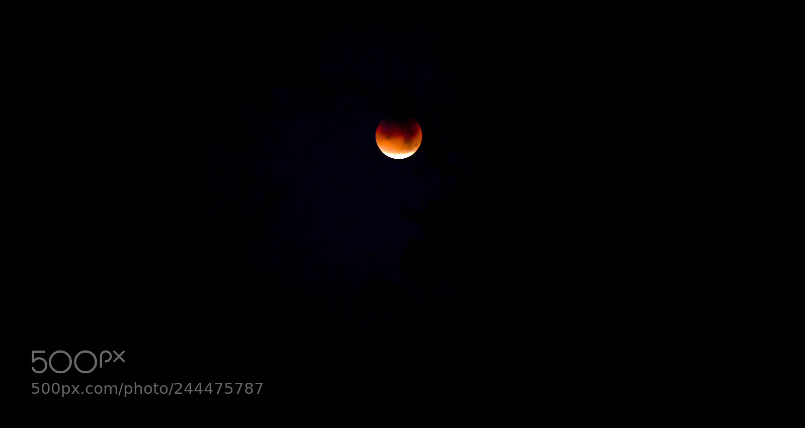Nikon D5 sample photo. Lunareclipse2018 photography