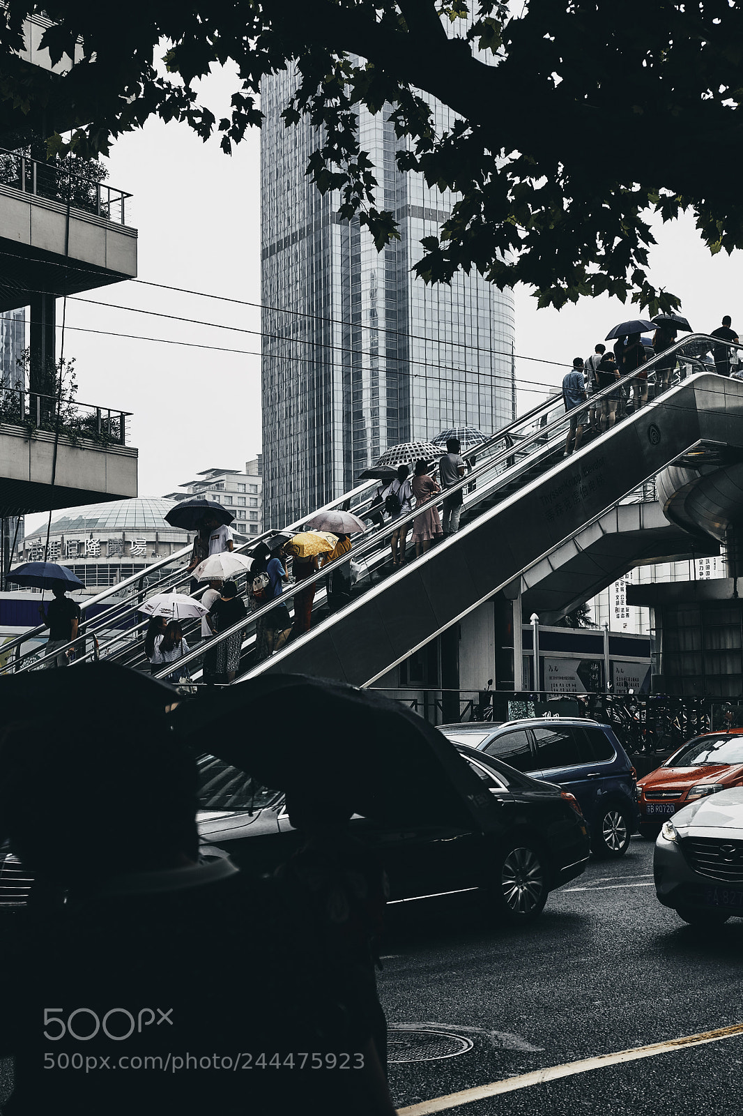 Canon EOS 5DS sample photo. Rainy day photography
