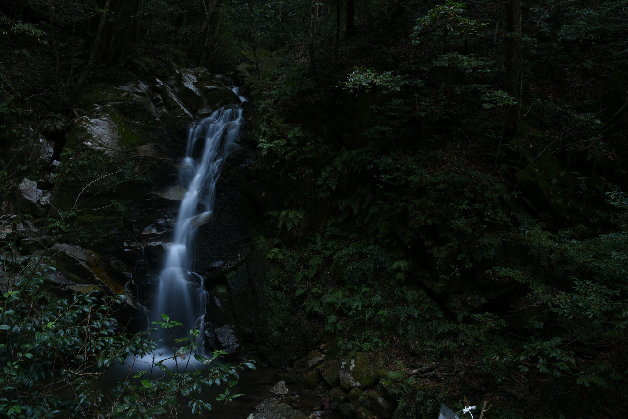 Nikon D810 + Nikon AF-S Nikkor 28-300mm F3.5-5.6G ED VR sample photo. Uguisu waterfall photography