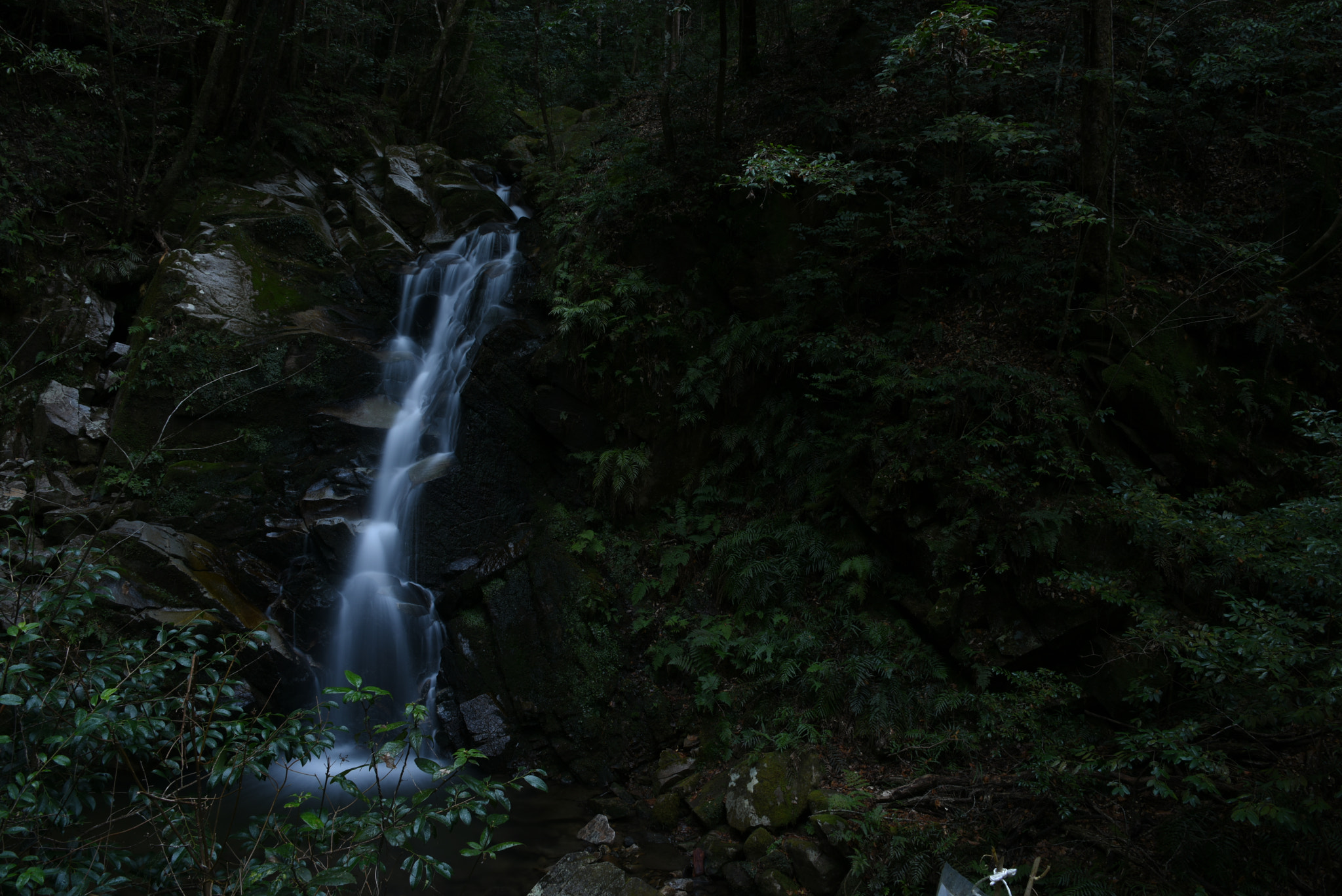Nikon D810 sample photo. Uguisu waterfall photography
