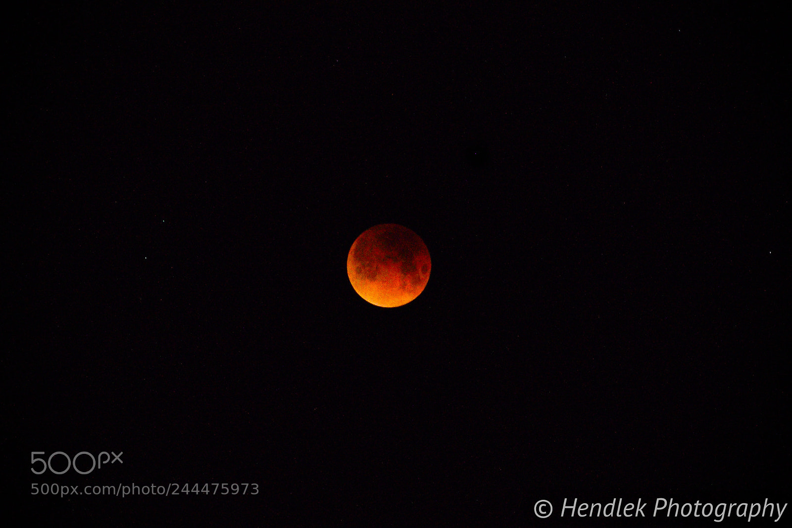 Nikon D810 sample photo. Red moon photography