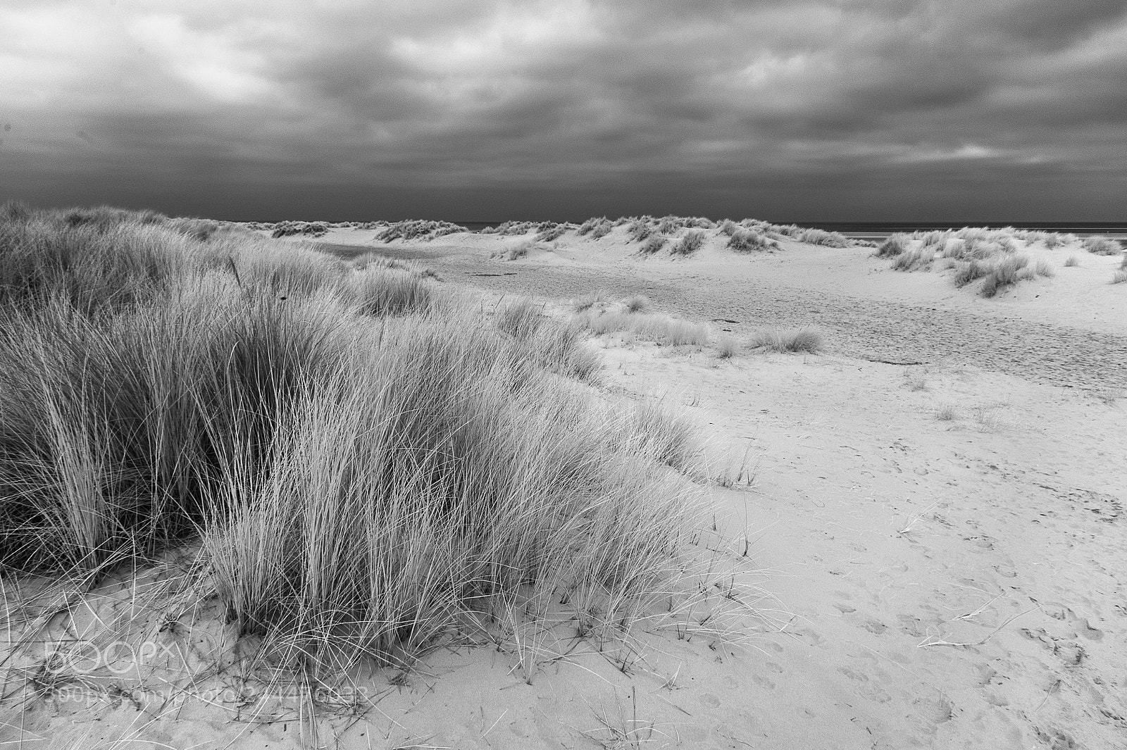 Nikon D700 sample photo. Holkham dunes photography