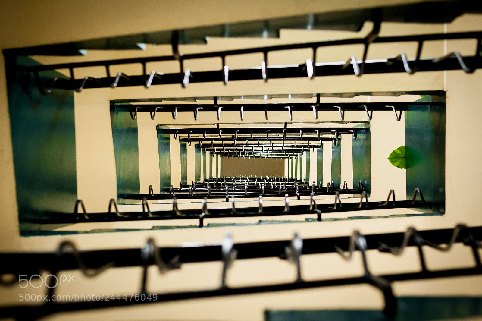 Nikon D700 sample photo. Going up? photography
