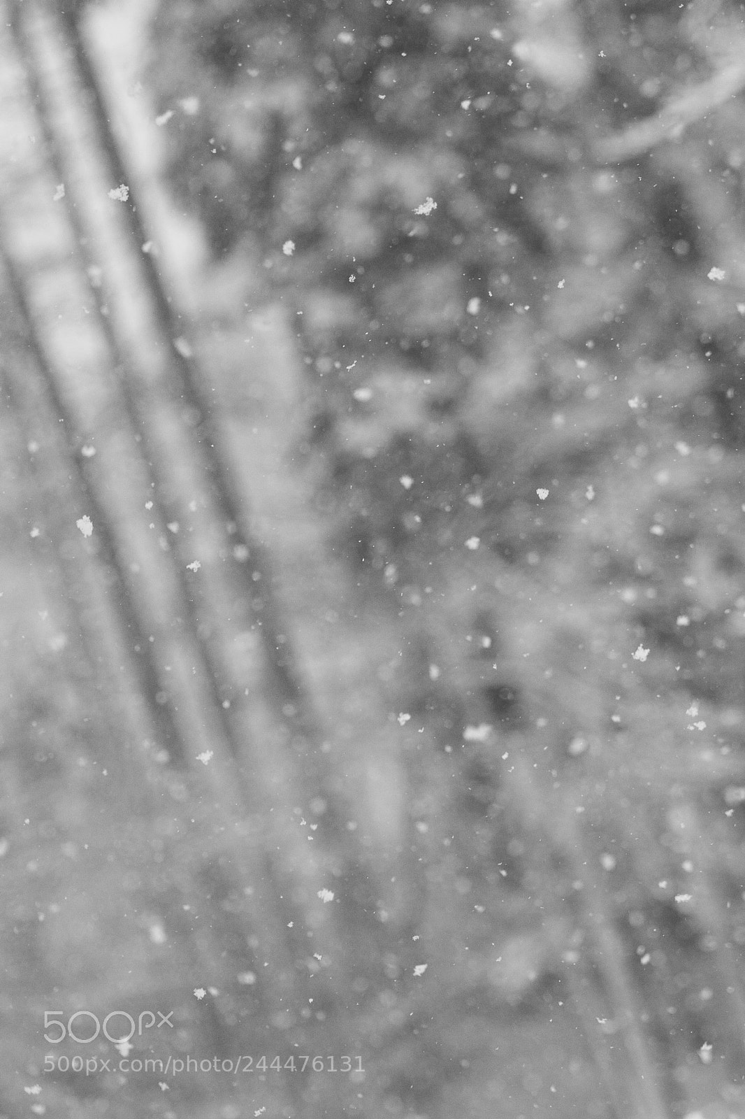 Canon EOS 30D sample photo. Snowfall photography