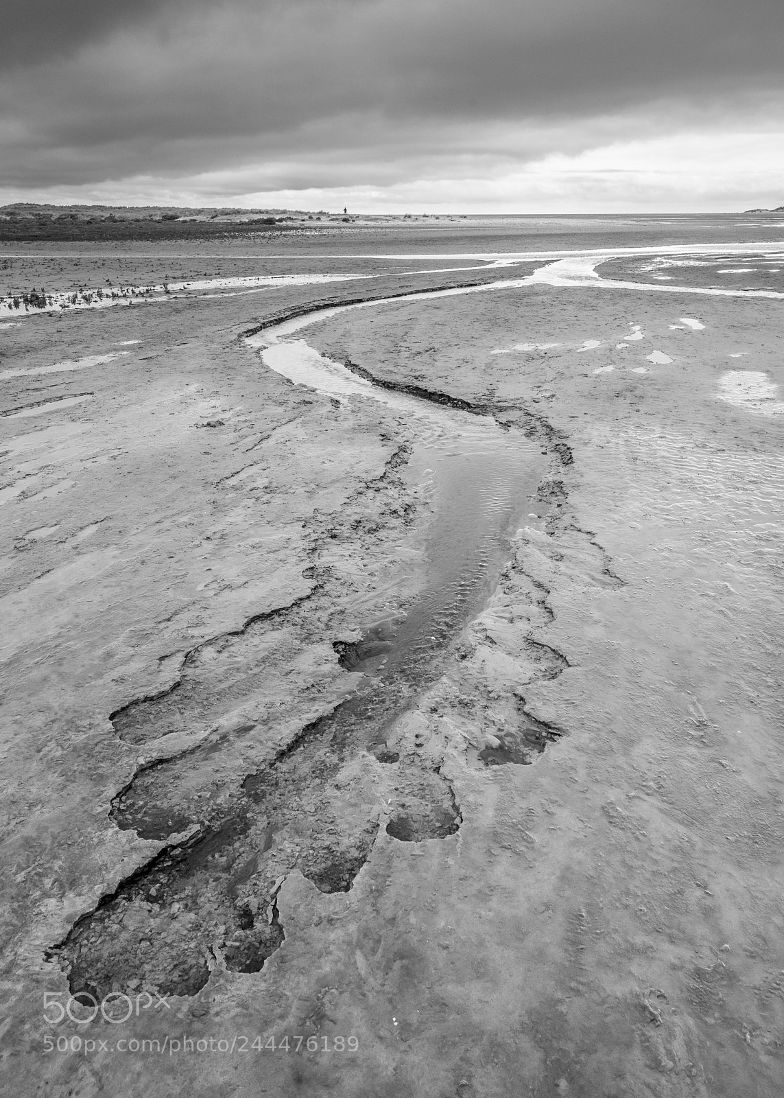 Nikon D810 sample photo. Holkham stream photography
