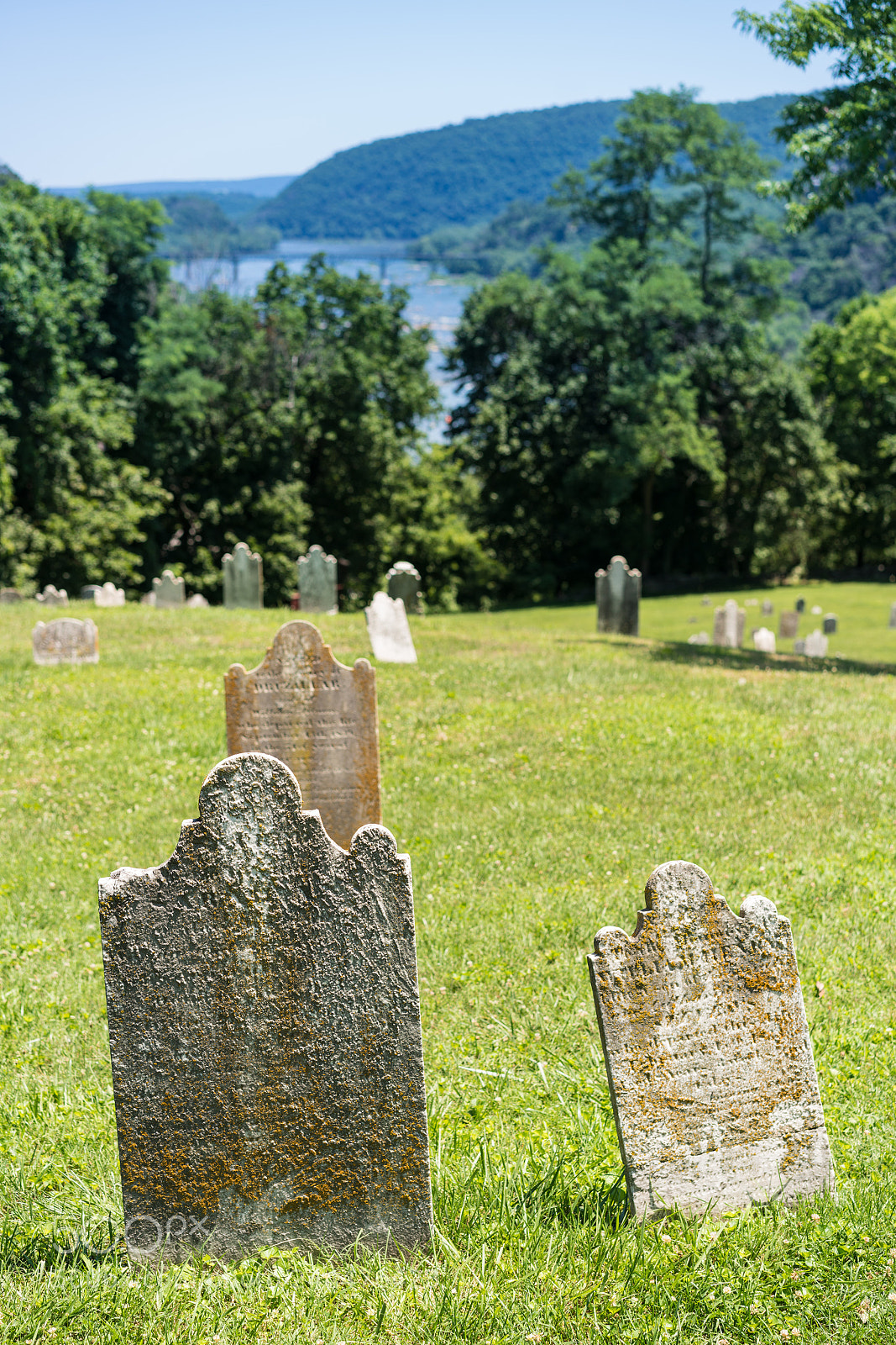 Sony a7R II sample photo. Old moss covered gravestones photography