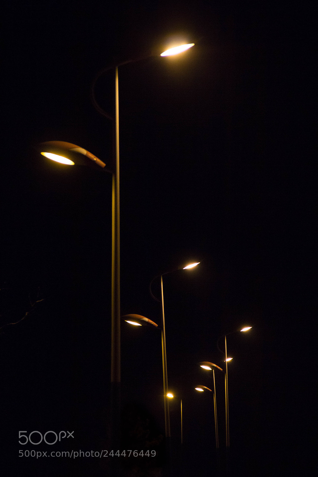 Canon EOS 60D sample photo. Untitled photography