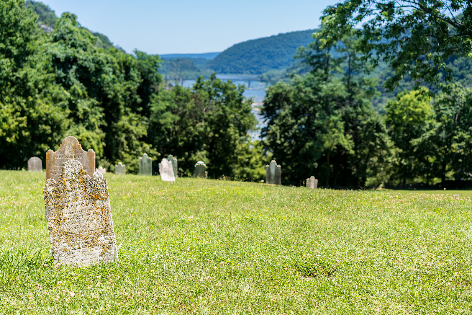 Sony a7R II sample photo. Old moss covered gravestones photography