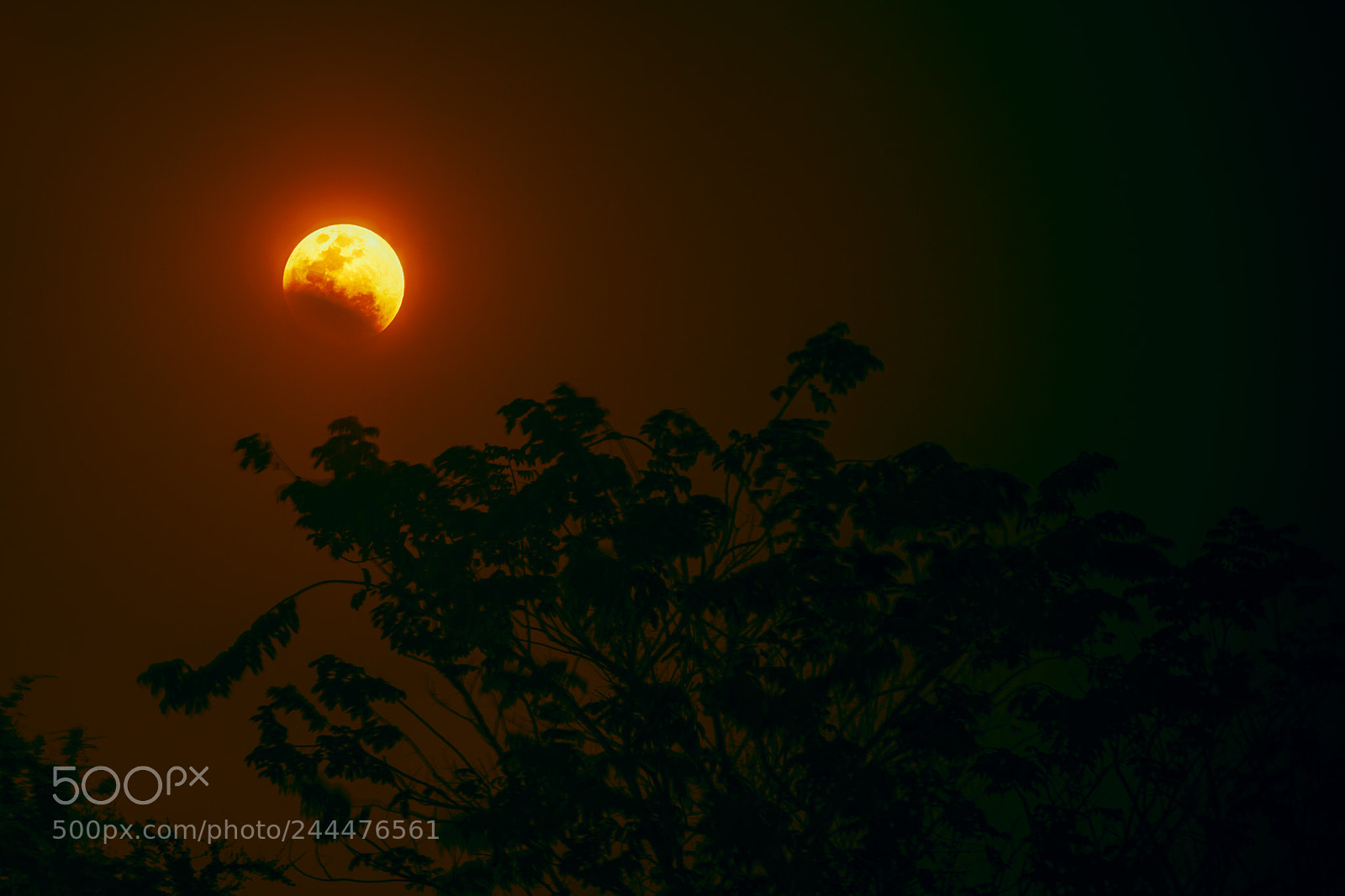 Sony a6500 sample photo. Blood moon photography