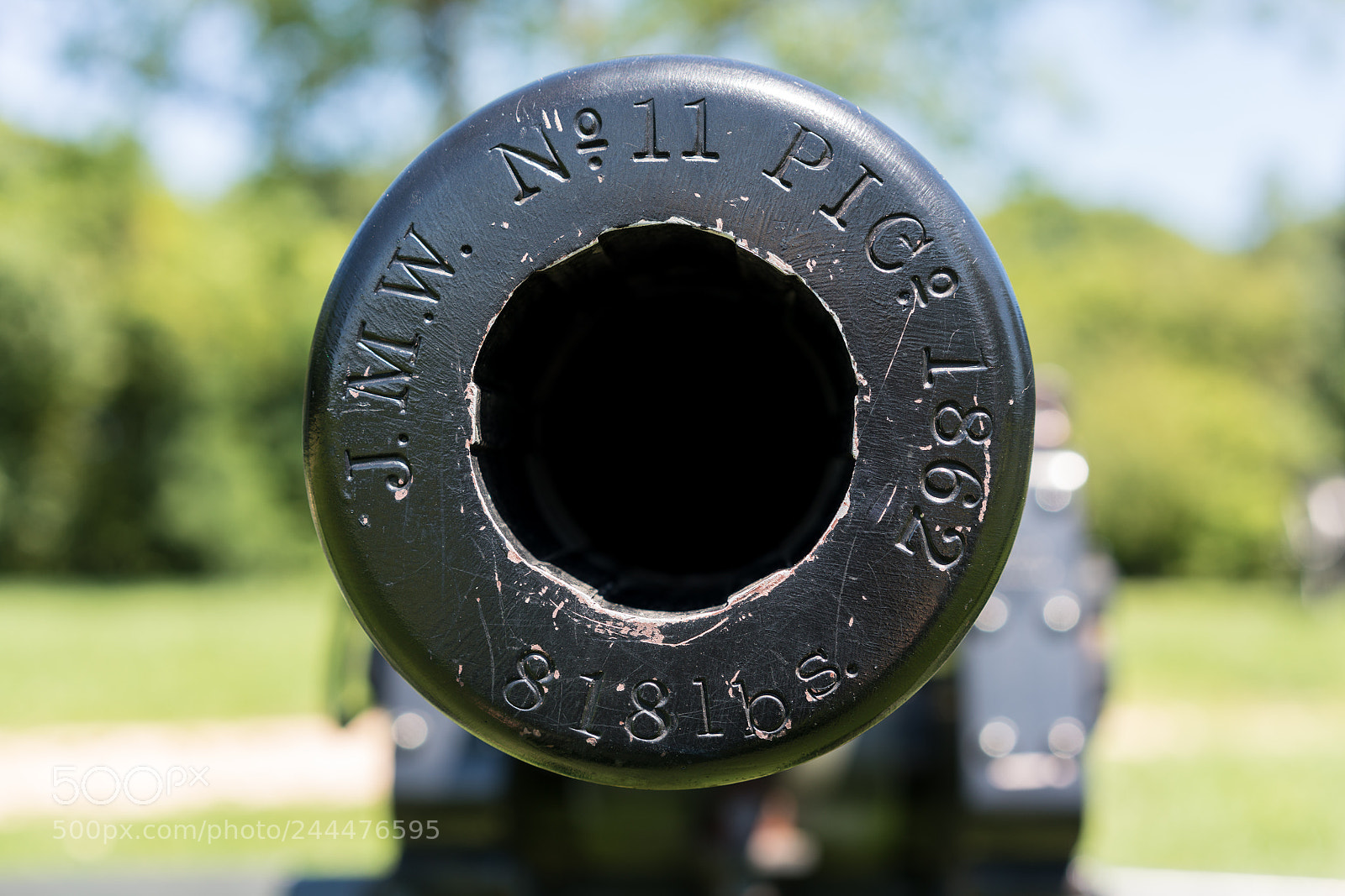Sony a7R II sample photo. Close up of the photography
